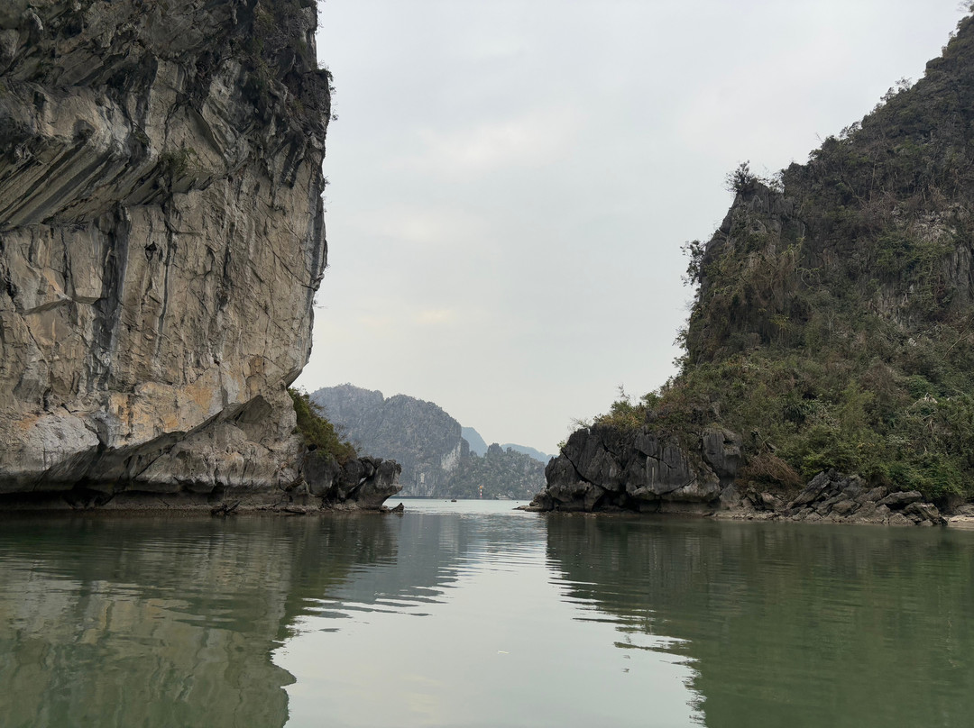 Cua Van Floating Village-下龙湾必去景点