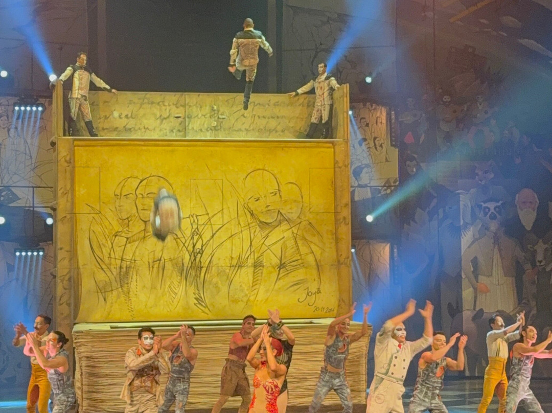 Cirque du Soleil Joyà-普拉亚德尔卡曼必去景点