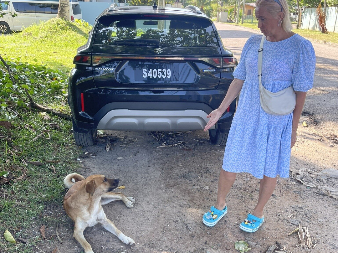 La Villa Therese Holiday Apartments主图