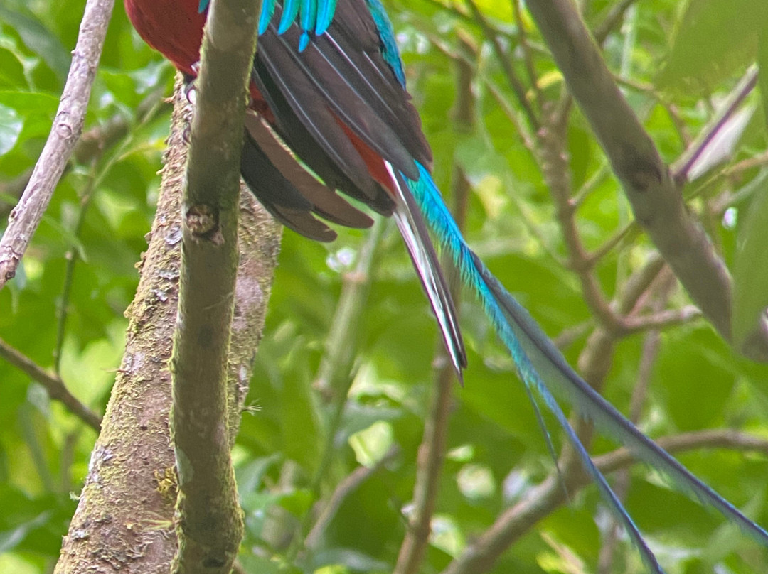 Jason Lara Tours-波魁特必去景点