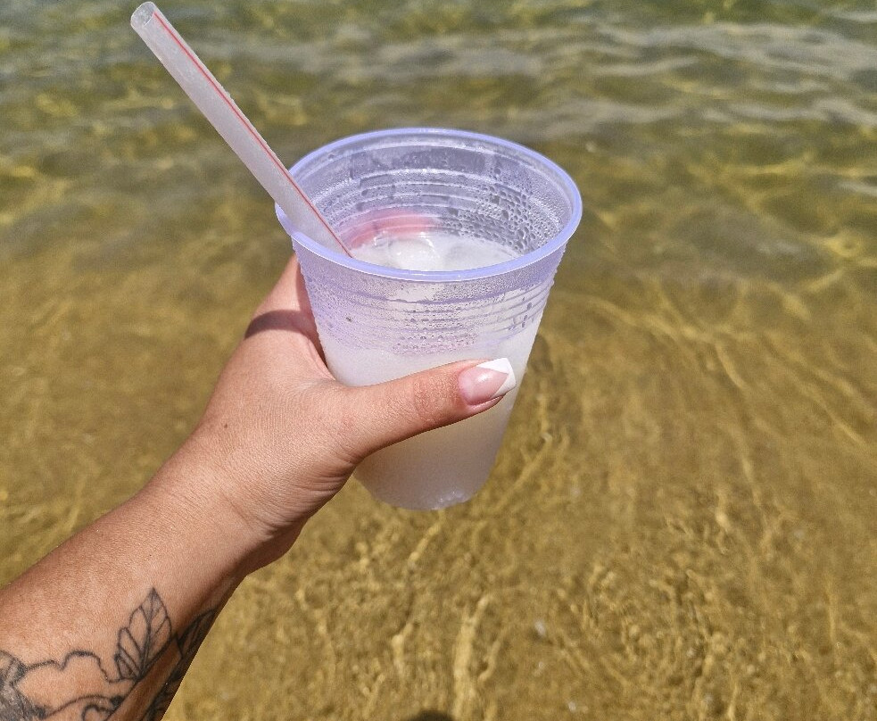 Biscaia Beach-安格拉杜斯雷斯必去景点