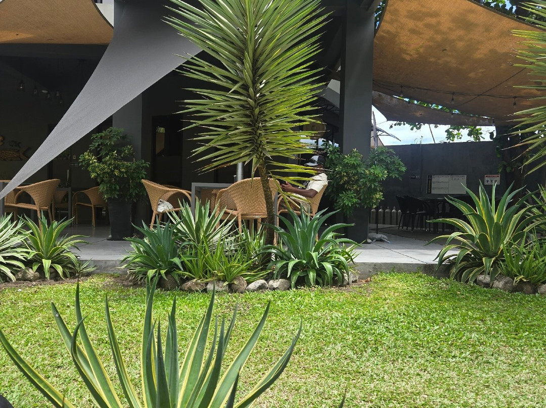 Mahi Mahi Dive Resort主图