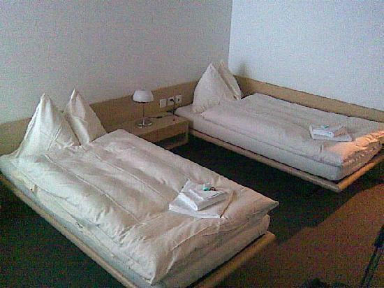 Swiss Olympic House Hotel Magglingen主图