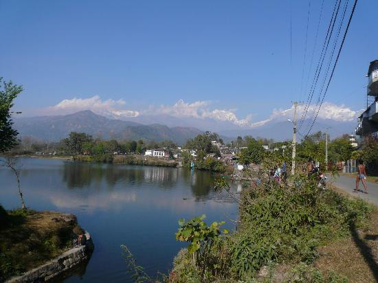 New Hotel Cosmos & Restaurant主图