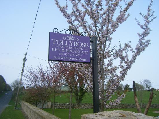 Tollyrose Country House主图