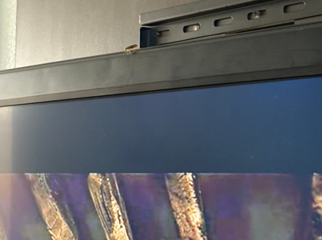 Red Roof Inn Atlanta - Norcross主图