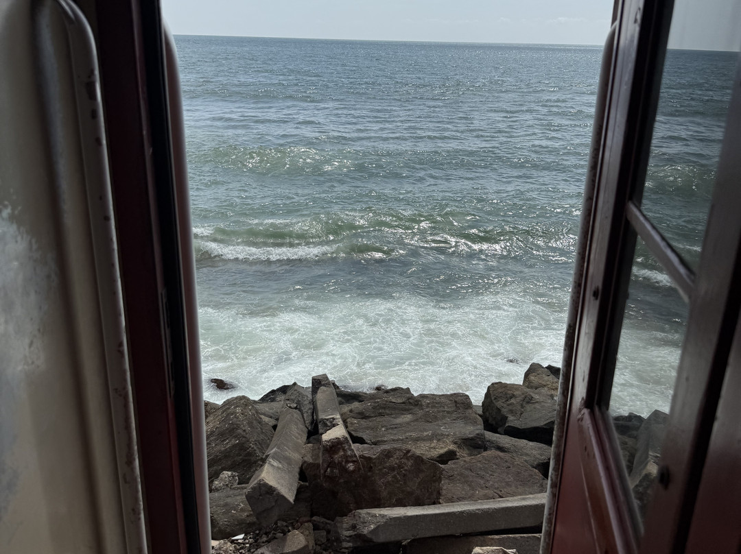 Wise Friends Tours-Wennappuwa必去景点