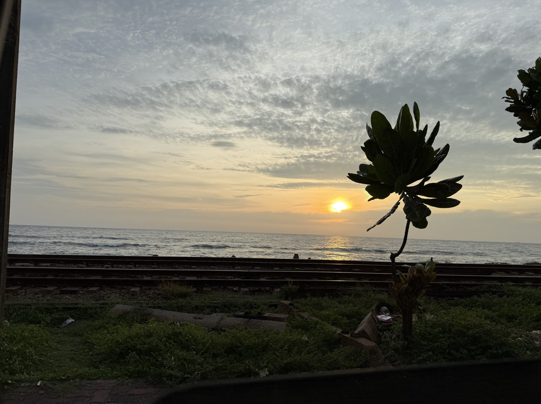 Wise Friends Tours-Wennappuwa必去景点