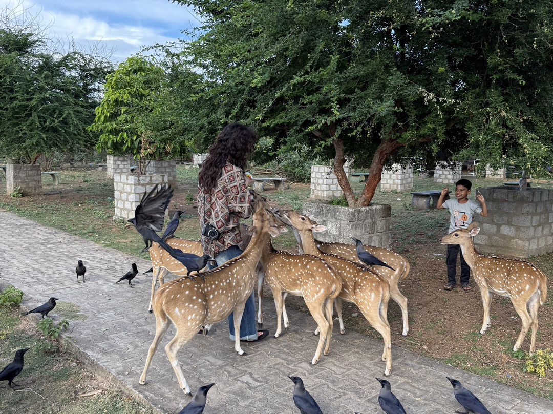 Wise Friends Tours-Wennappuwa必去景点