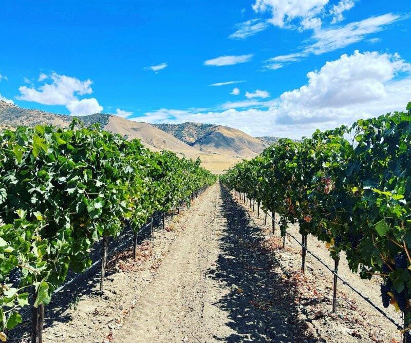 Tehachapi Winery景点图片