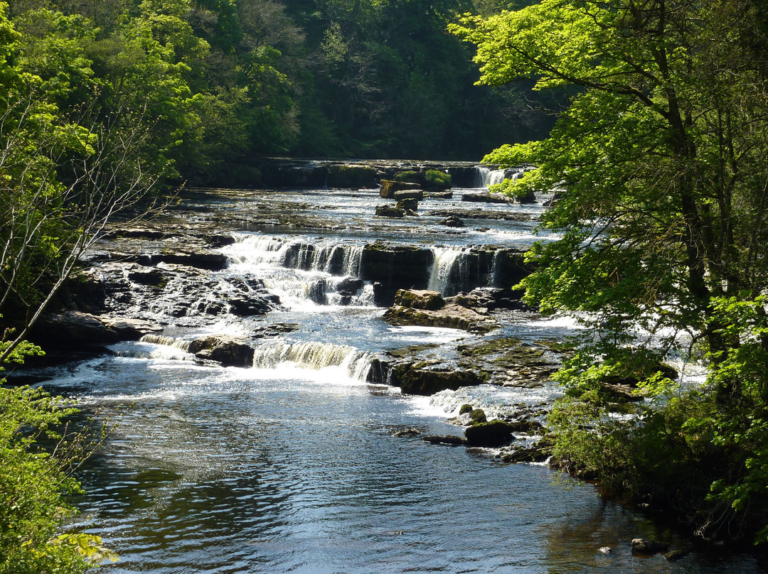 Wharfe Camp