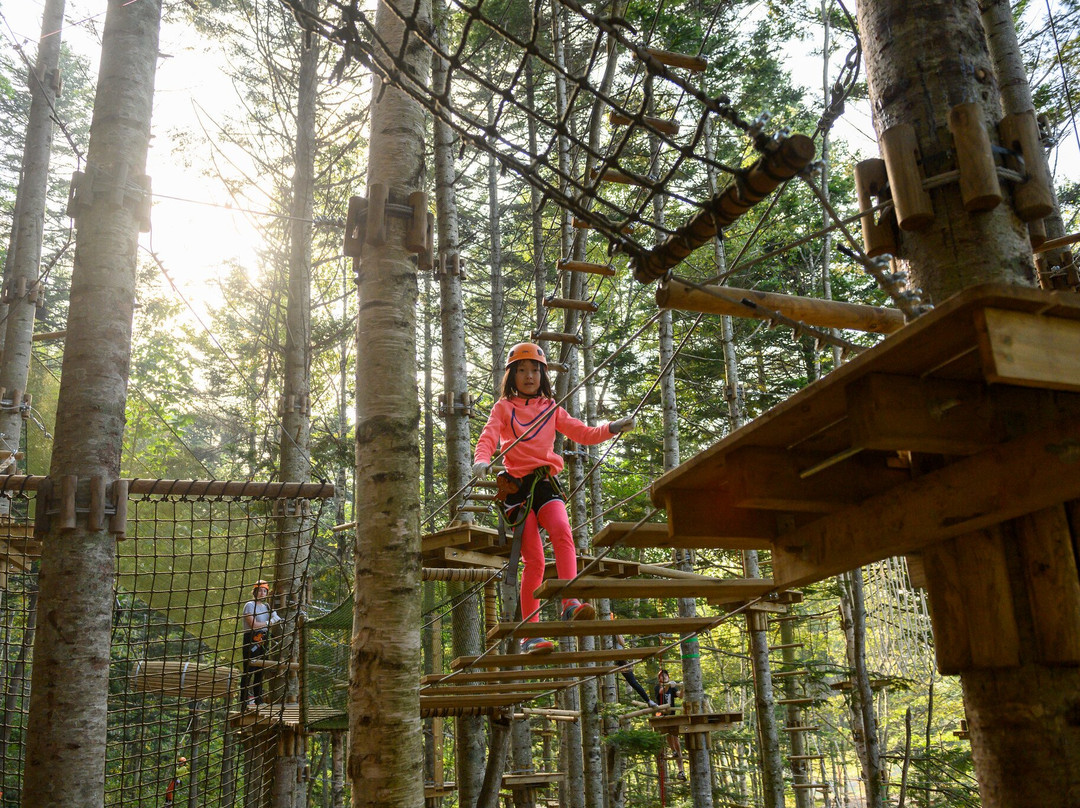 Hanazono Adventure Park-俱知安町必去景点