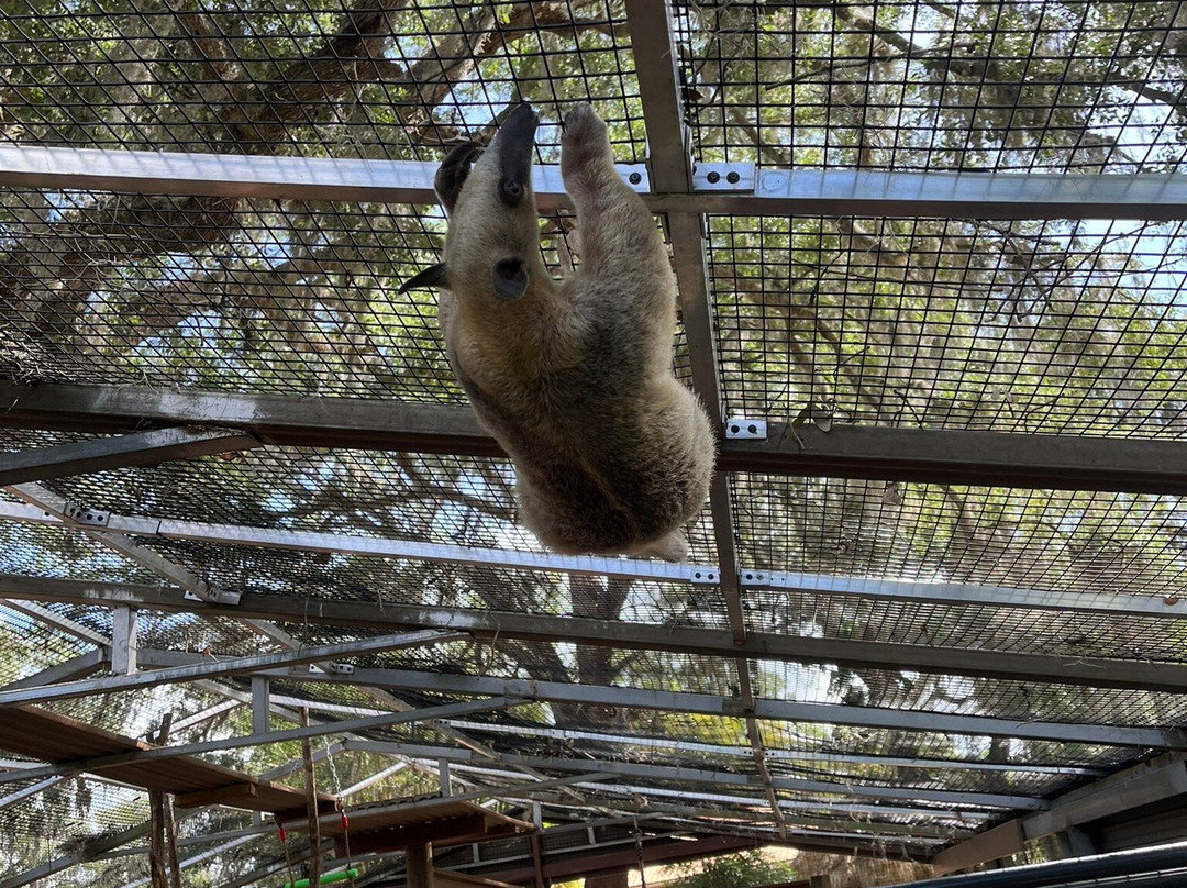 Chase Animal Rescue And Sanctuary-Webster必去景点