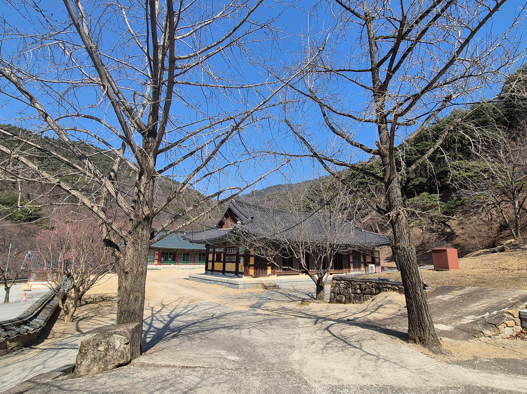 Sangju Yongheungsa Temple-尚州市必去景点