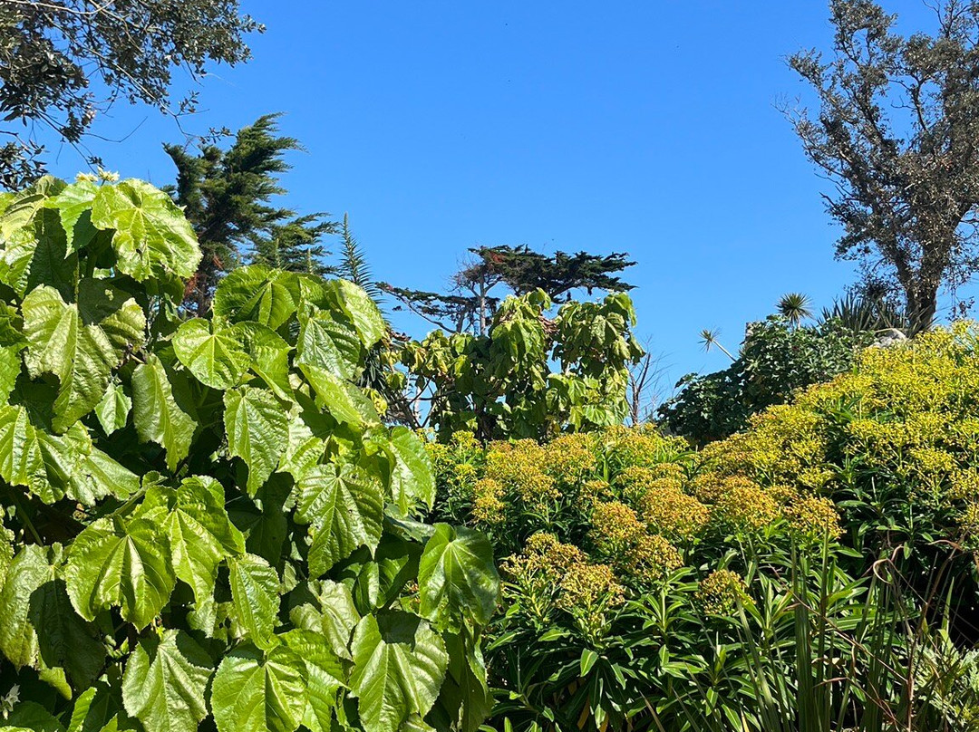 Jardin Georges Delaselle景点图片