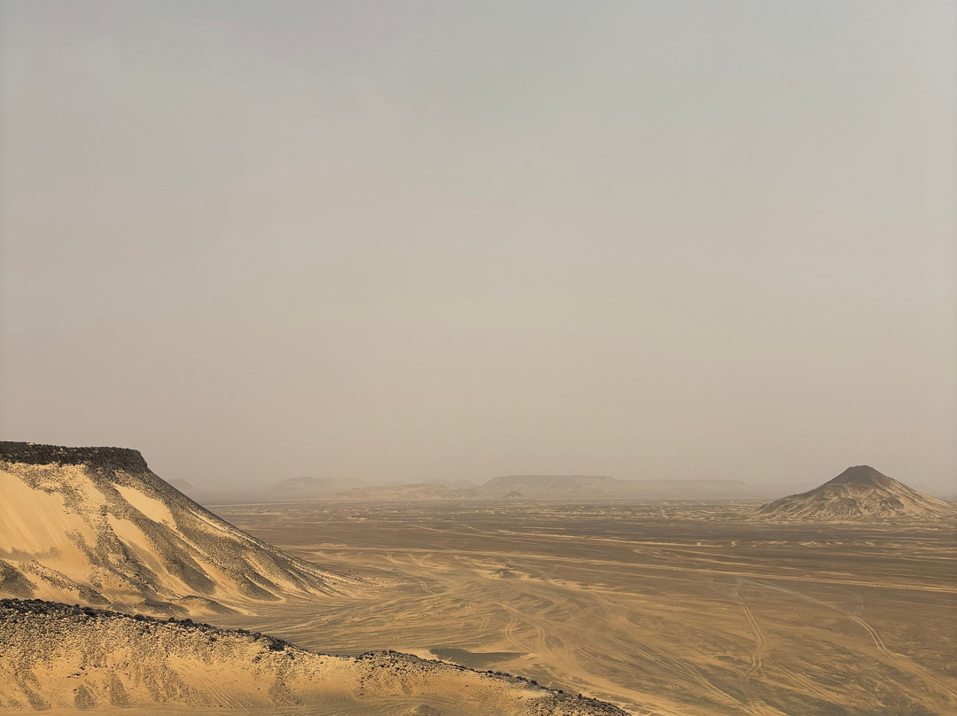 Jimmy Egypt Safari景点图片