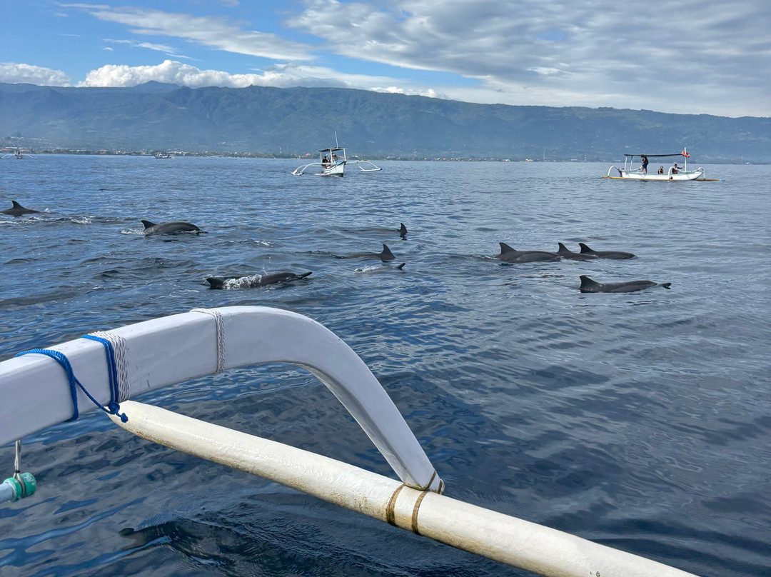 Agus Lovina Dolphin Tour-罗威那海滩必去景点