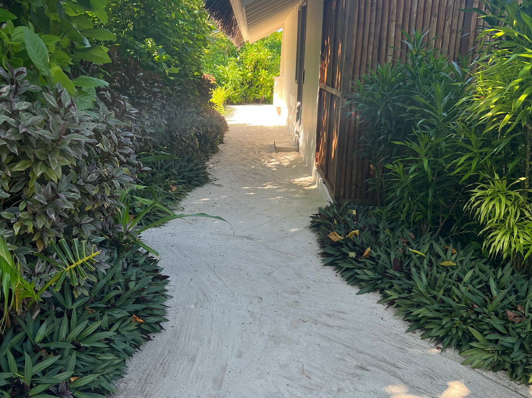 Cora Cora Maldives主图