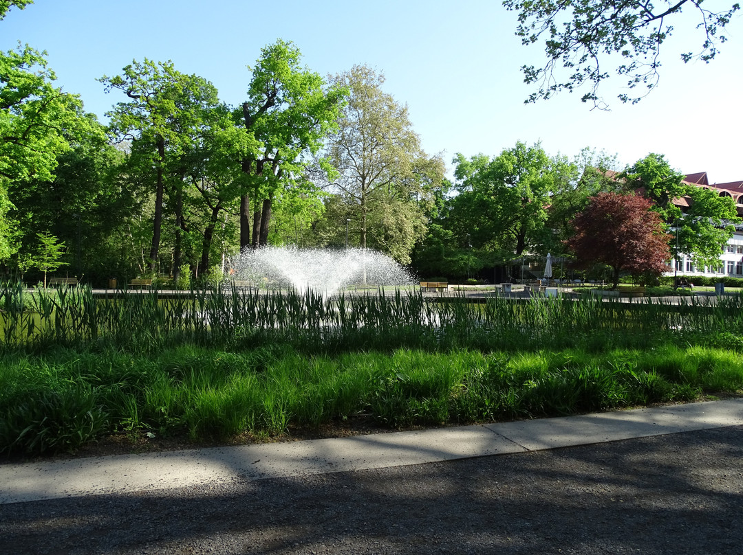 Nagyerdei Park景点图片