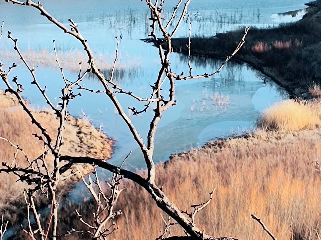 Lake Mackenzie景点图片
