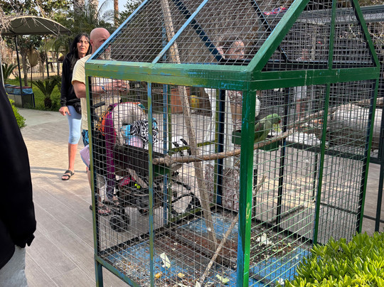 Discovery Park-Ilica必去景点