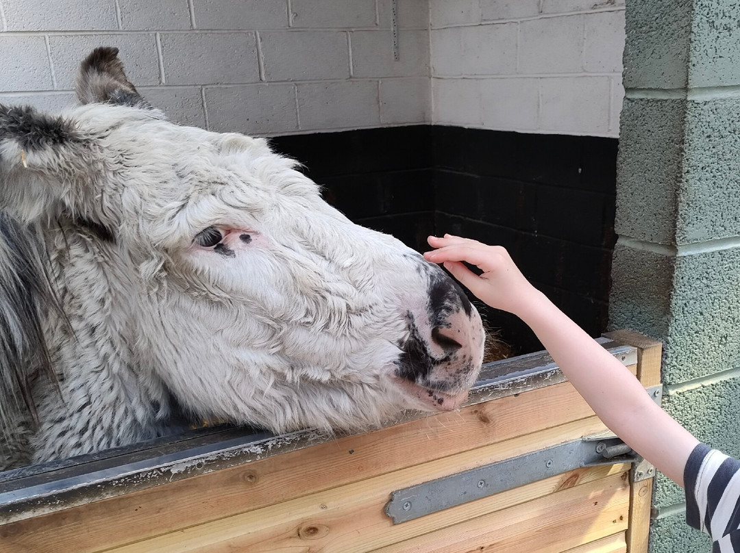 The Wonkey Donkey Visitors Centre景点图片