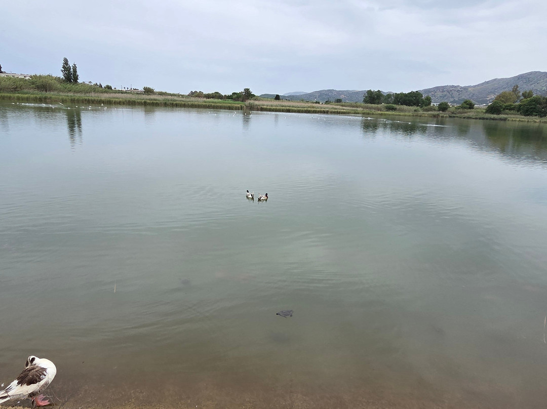 Lake Agias-Agia必去景点