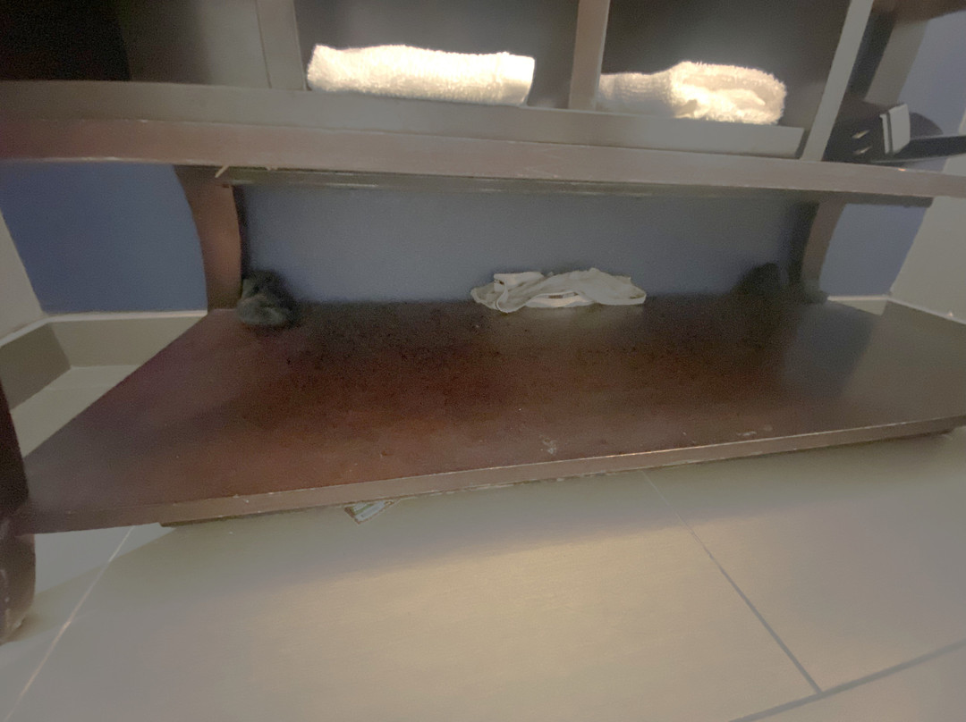 La Quinta Inn & Suites by Wyndham Denison - N. Lake Texoma主图