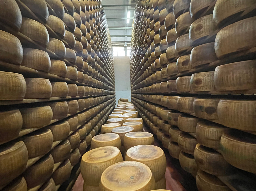 Azienda Agricola Moscattini景点图片