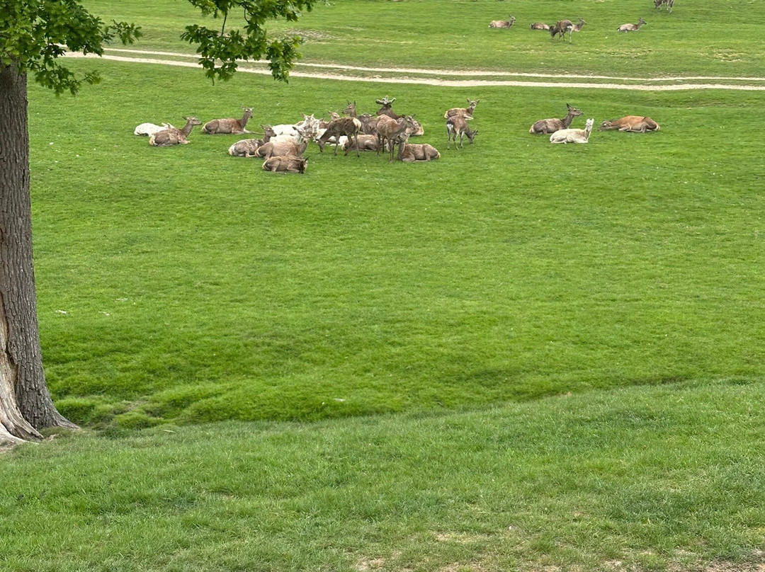 Bucklebury Farm Park-Bucklebury必去景点