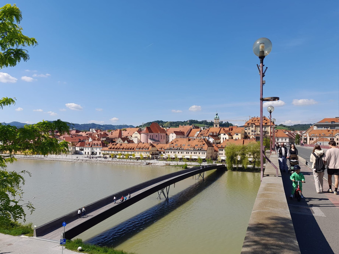 Lent - the Oldest Part of the City of Maribor-马里博尔必去景点