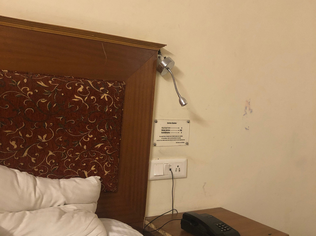 Hotel Pirni Palace主图