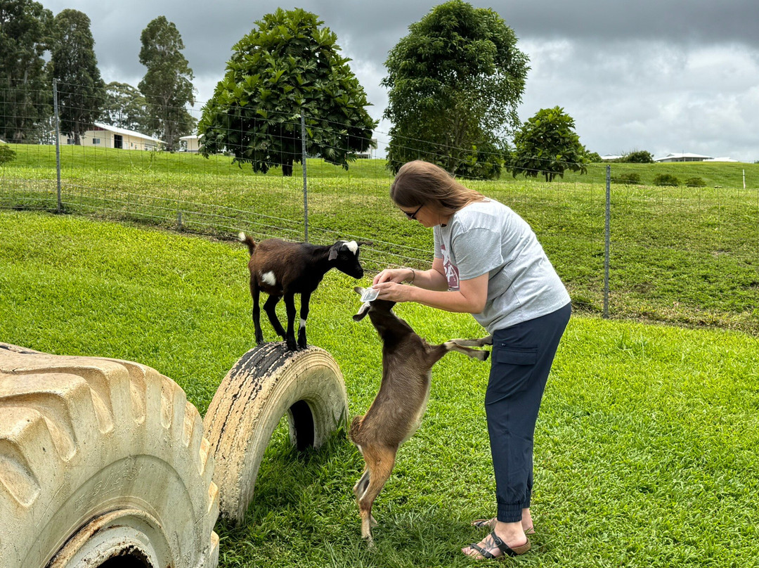 Honomu Goat Dairy-哈诺姆必去景点