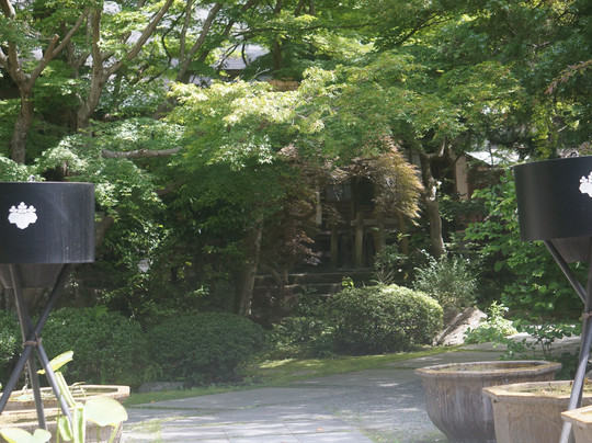 Kakuonji Temple-镰仓市必去景点