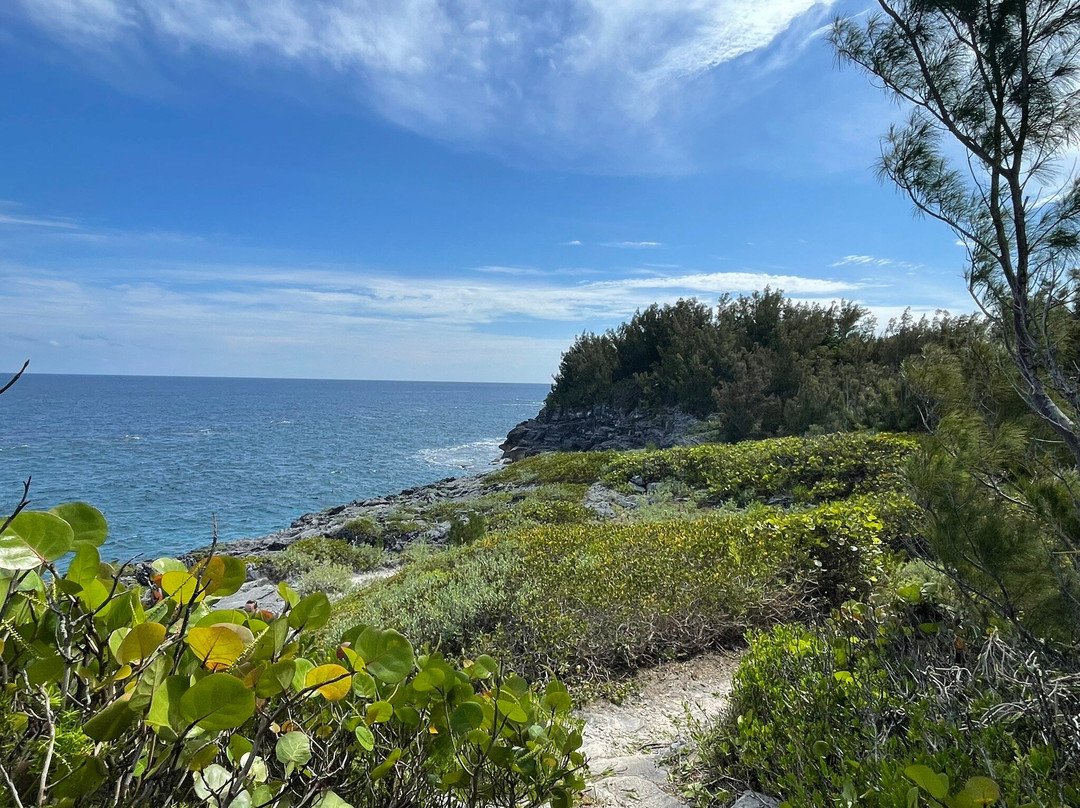 Spittal Pond Nature Reserve-百慕大必去景点