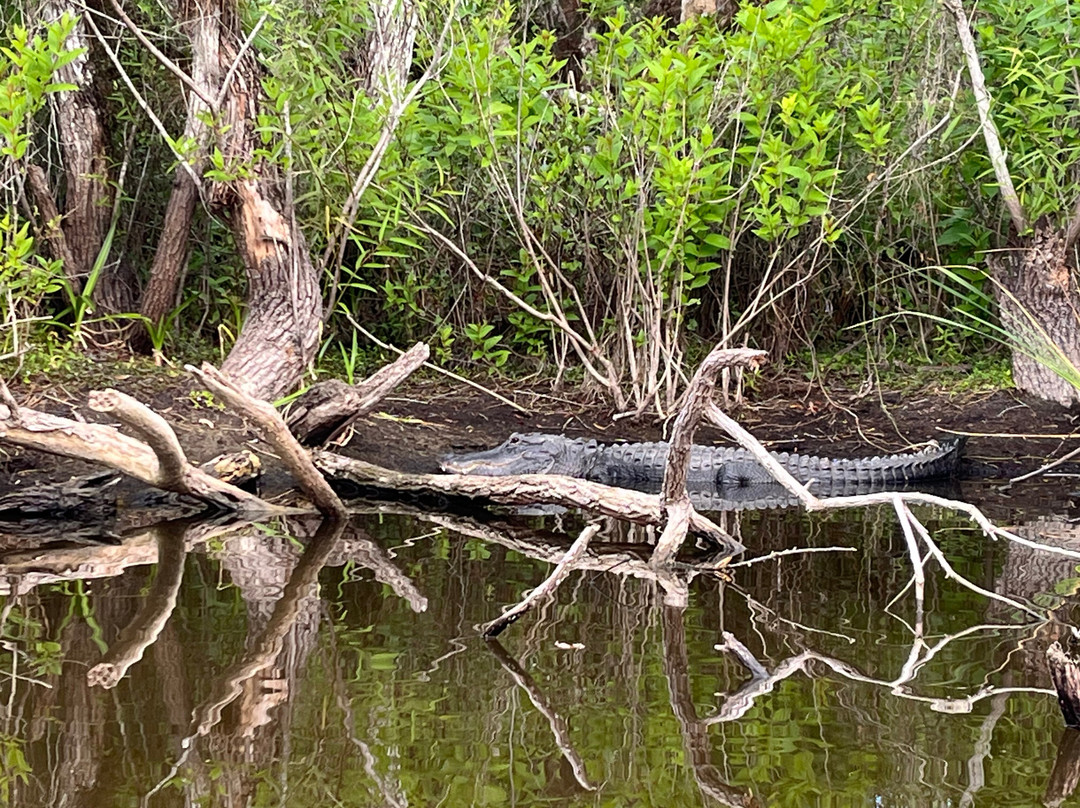 Everglades Adventure Tours-奥乔皮必去景点