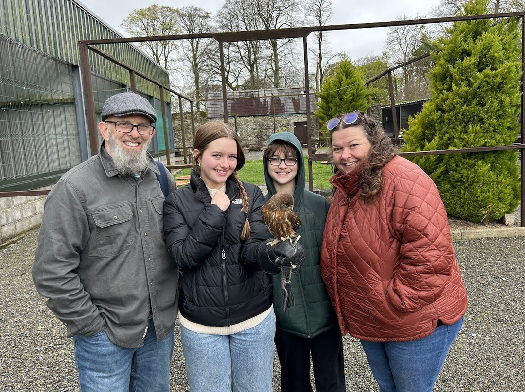 National Bird of Prey Centre-Blessington必去景点