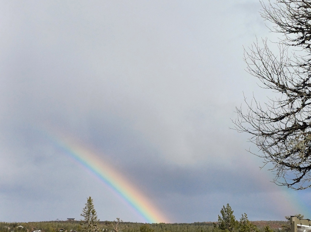 Gammelgården Hotell & Restaurang主图