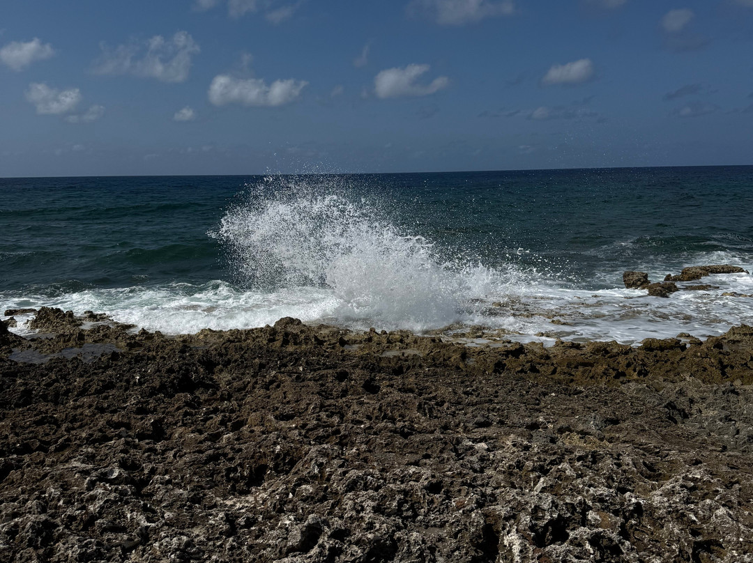 ECO Rides Cayman-East End必去景点