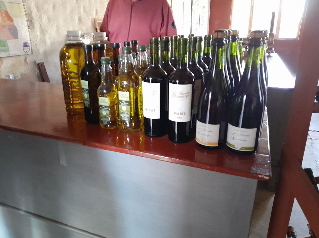 Bodega Familia Camargo-圣拉斐尔必去景点