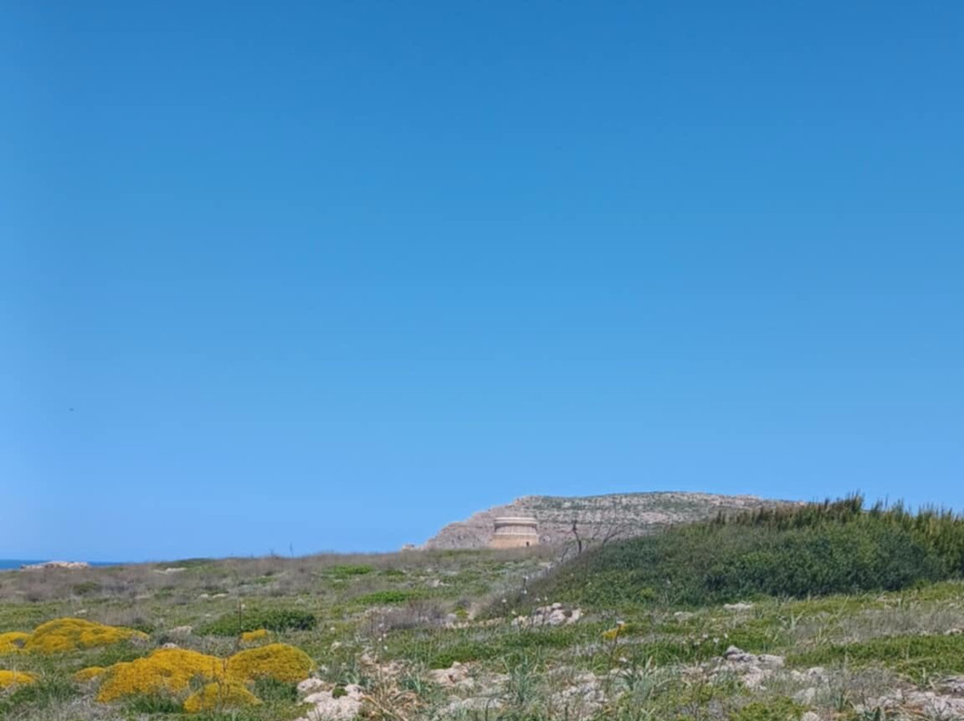 Fornells Tower-Fornells必去景点