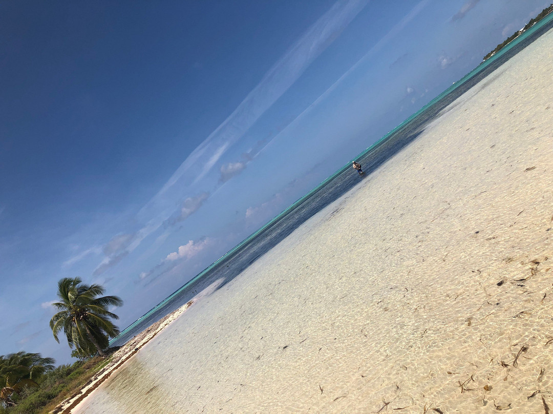 Owen Island-Little Cayman必去景点