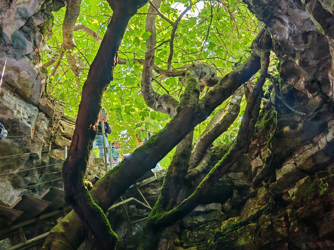 Park Histria Aromatica-Bale必去景点