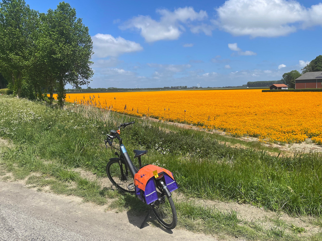 Yubike Tours-阿姆斯特丹必去景点