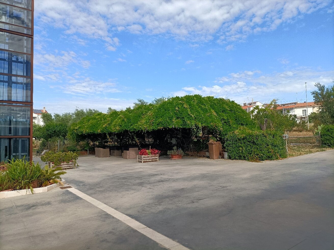 Il Gallo Con Gli Stivali主图