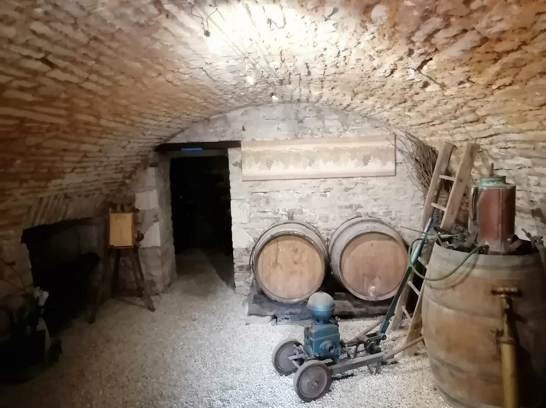 Champagne Didier Goussard景点图片