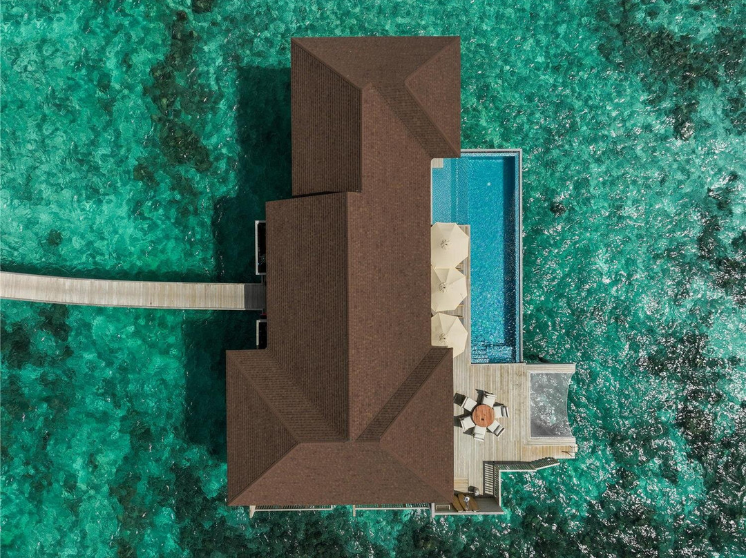 Avani+ Fares Maldives Resort主图