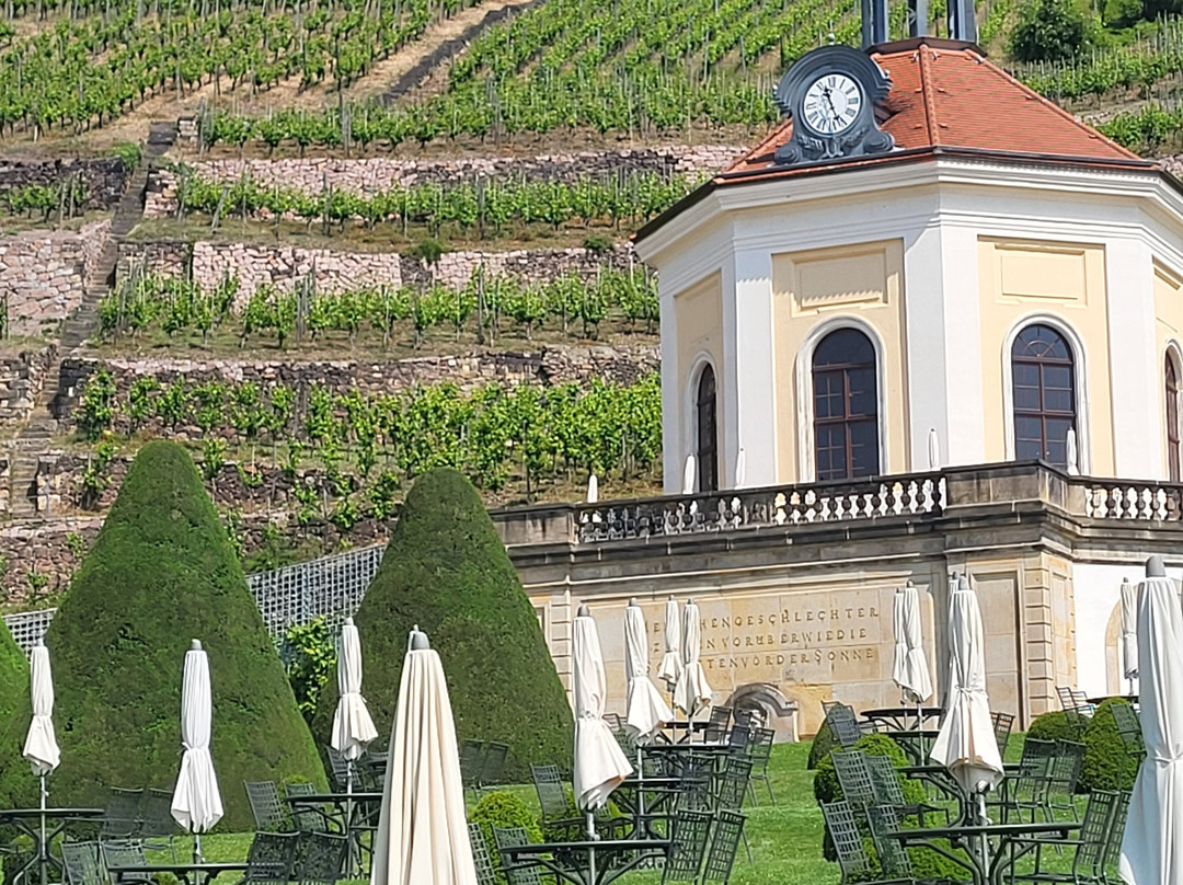 Schloss Wackerbarth景点图片