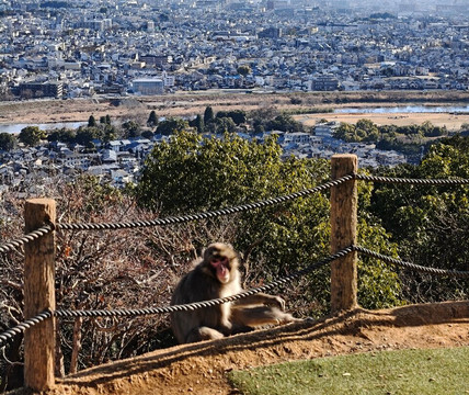 Novaland Tours-首尔必去景点
