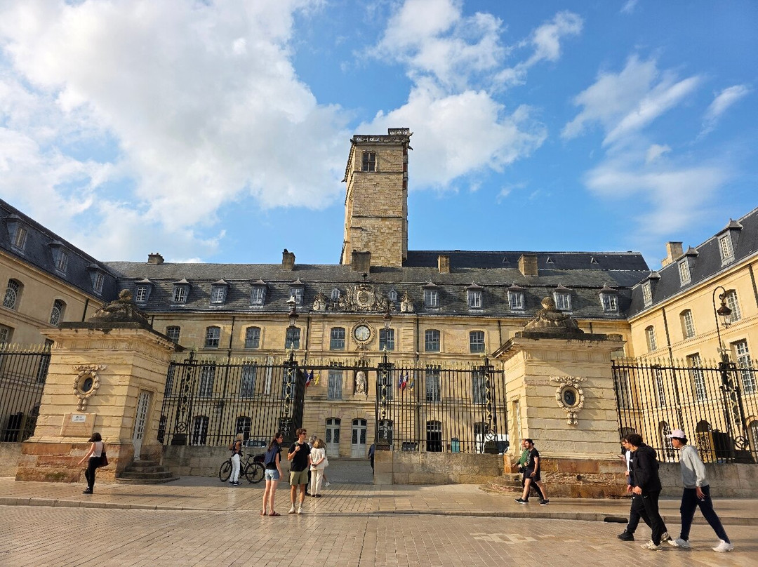 Palais des Ducs et des États de Bourgogne-第戎必去景点